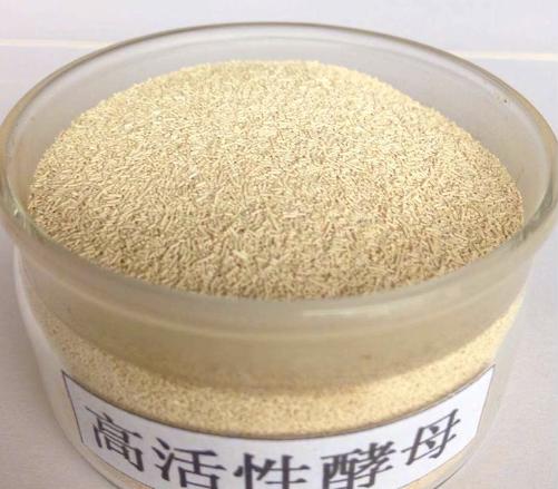 酵母粉泡打粉小苏打食用碱的区别,泡打粉小苏打食用碱酵母粉成分