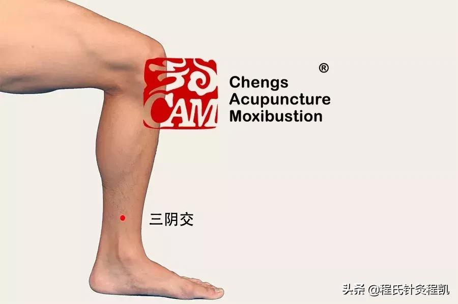 「药穴同源」人体自备乌鸡白凤丸，调经止带，呵护女性健康