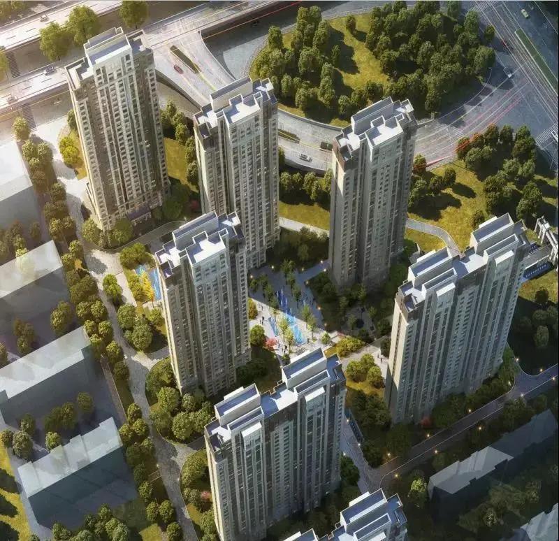 中海点亮城市版图,唤醒城市进化的力量