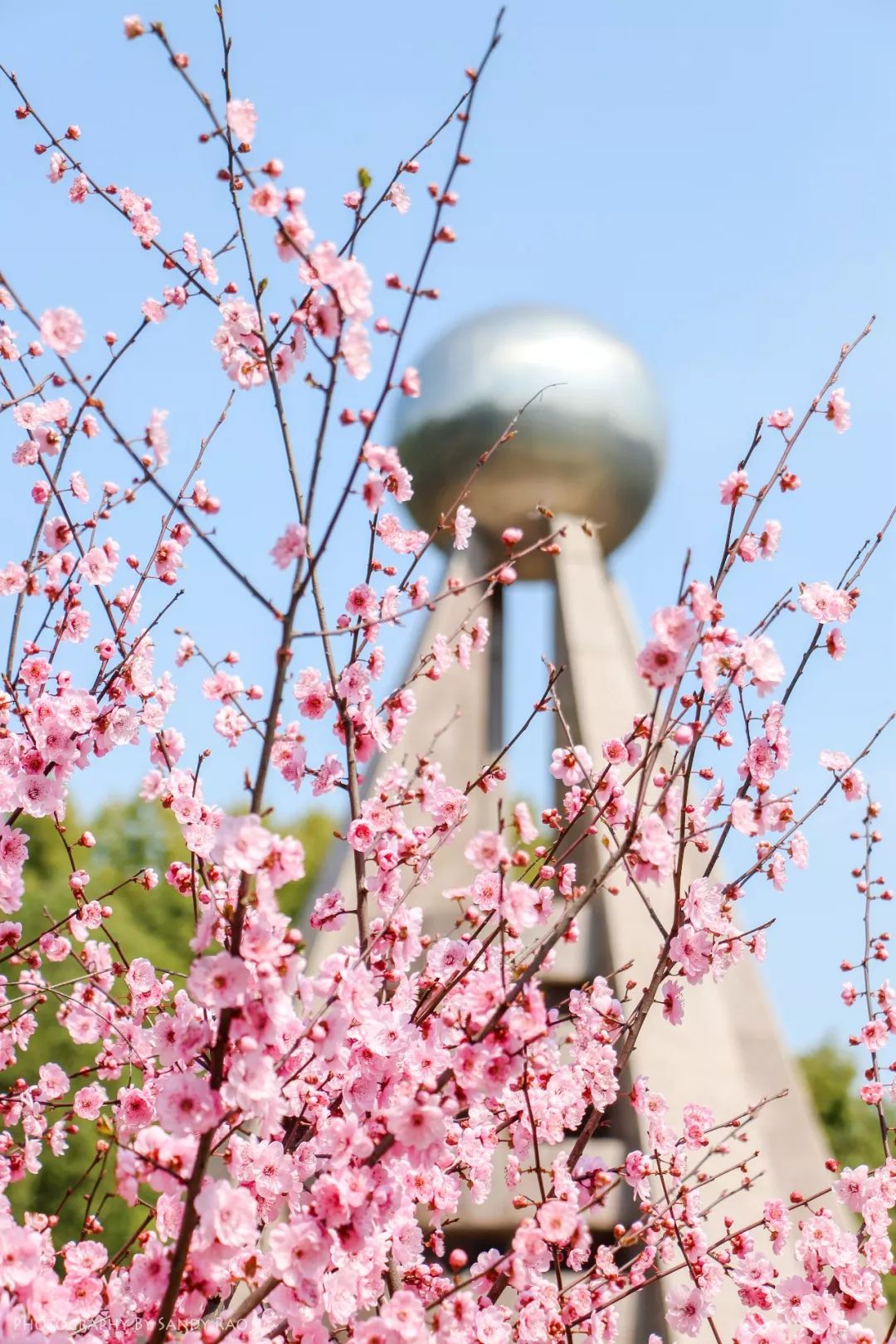 武汉是世界面积最大的一个市,武汉面积最大的小区