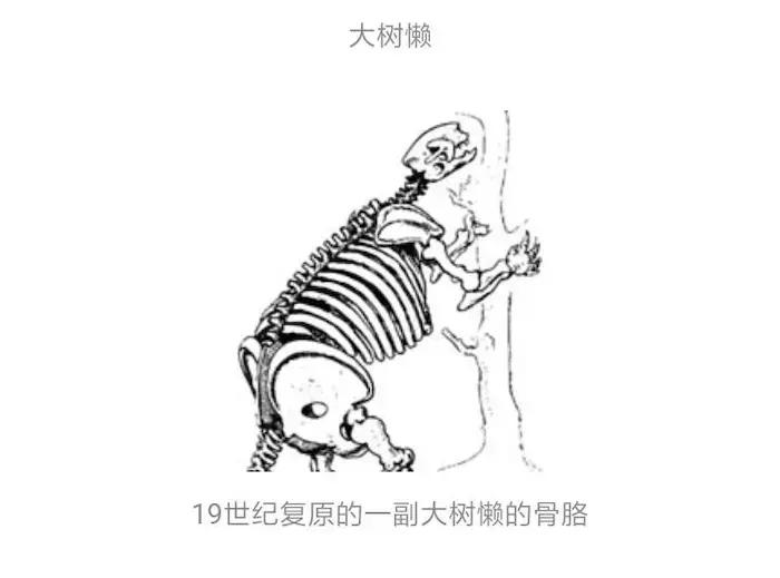 一个英国舰长认为是中国而不是西方完成了地理大发现