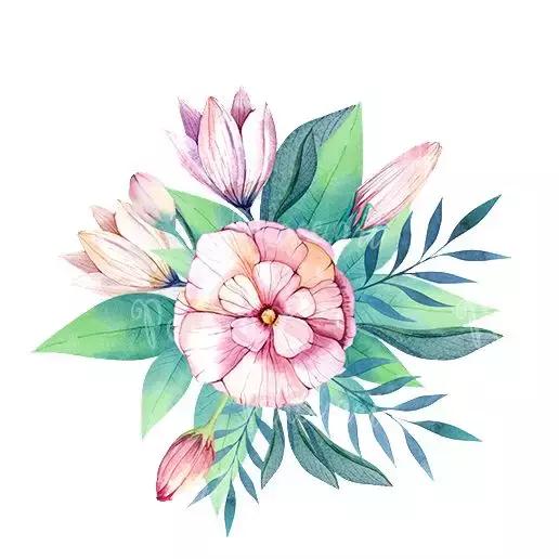 HPV是个什么鬼，感染了HPV就会得宫颈癌吗？