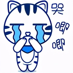 迈成专属表情包,“迈萌”喵来啦