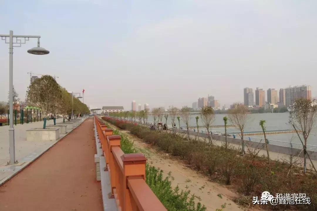 宜阳划龙舟什么时候开始,宜阳县第二届全民龙舟赛