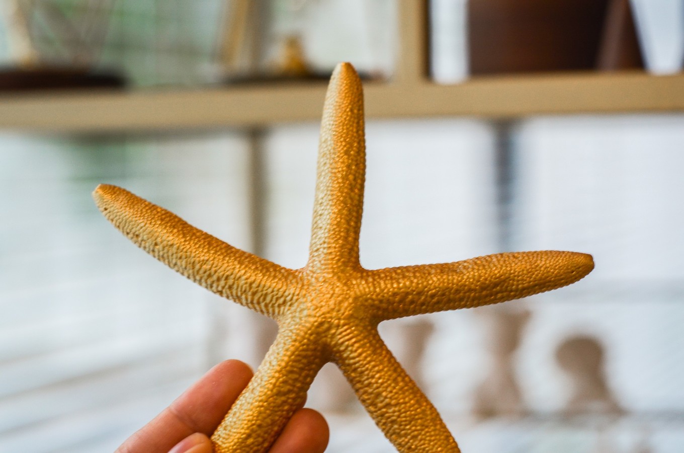 一座白楼，青山环绕，云卷雾舒～享受在莫干山野的娴静自由