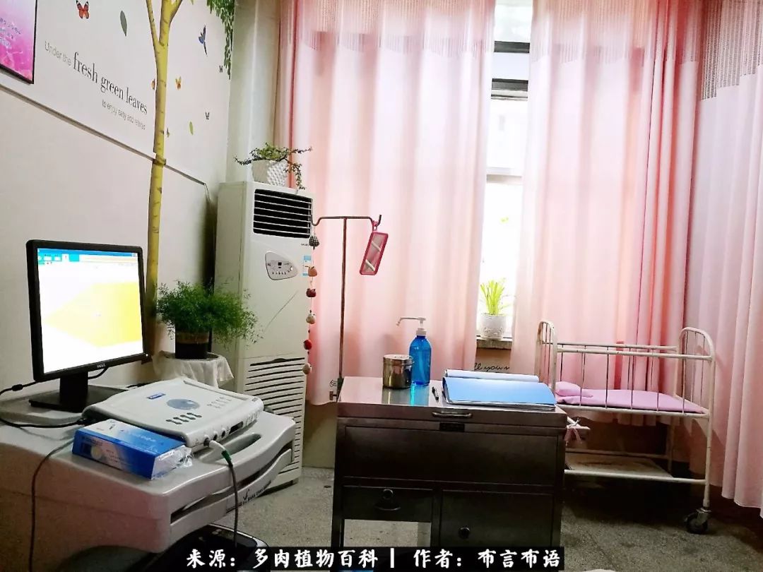 多肉的真实生活感悟,多肉的生活感悟