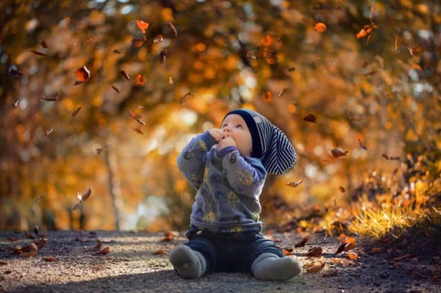 落叶怎么拍出高级感的视频人物,如何拍摄落叶效果最好