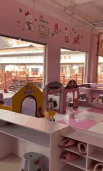 是你期待的亲子游泳俱乐部！河南邓州店开业指导中