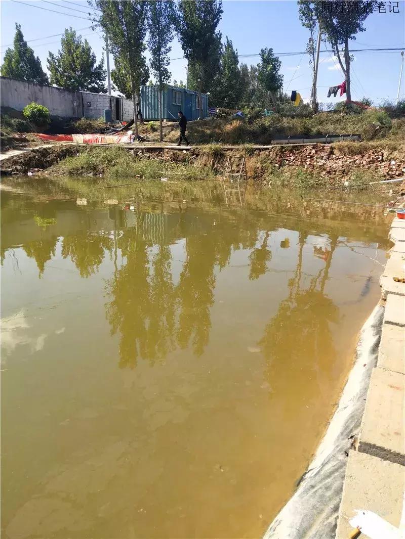 钓鱼笔记30个视频,钓鱼笔记最新视频