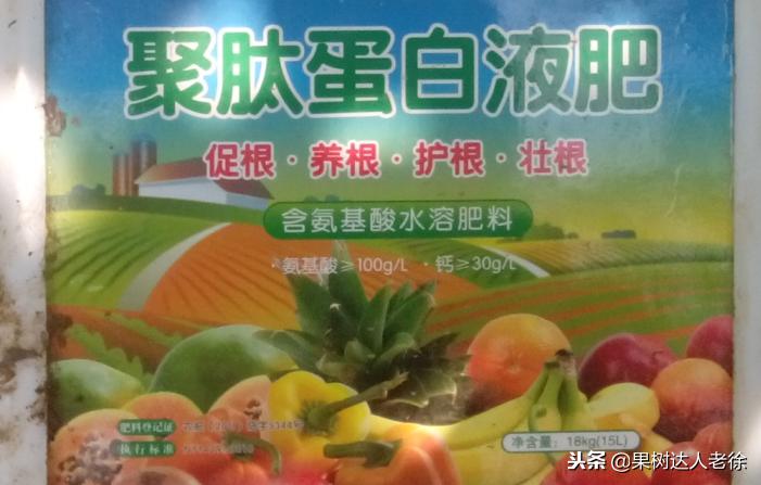 樱桃好吃树难栽，已经过时了，关键是要掌握好这些标准管理技术