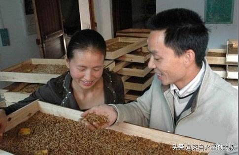 养殖项目注意事项大全图片,养殖项目要注意哪些事项