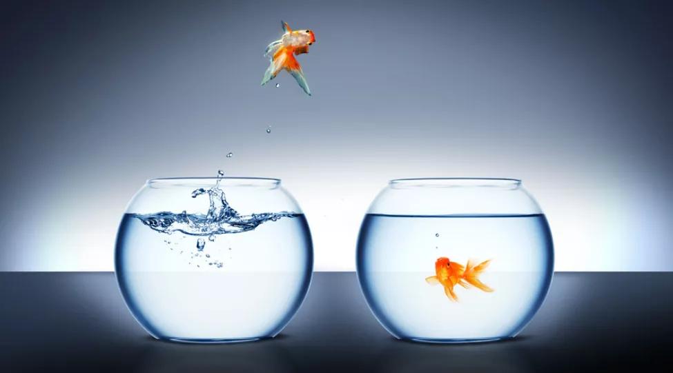 荐书｜《绝叫》：写给那些苦苦等待被爱的人