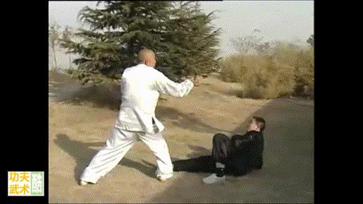传武通背拳表演视频,传武散手完整教学