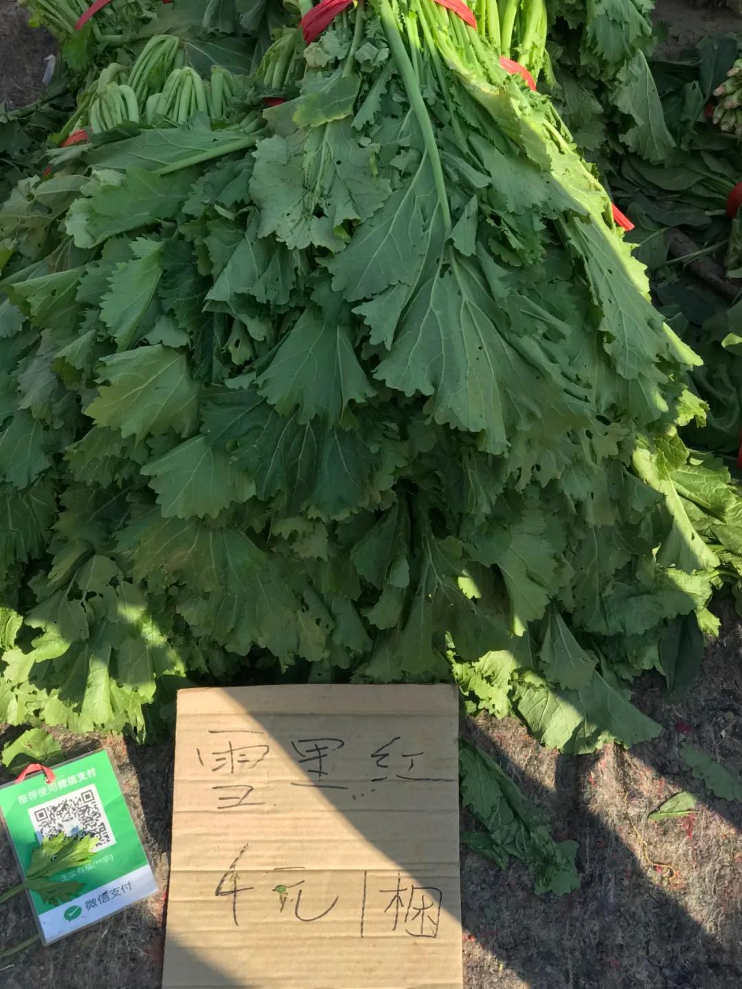 周边最便宜的大集在哪里,10元一两的大集