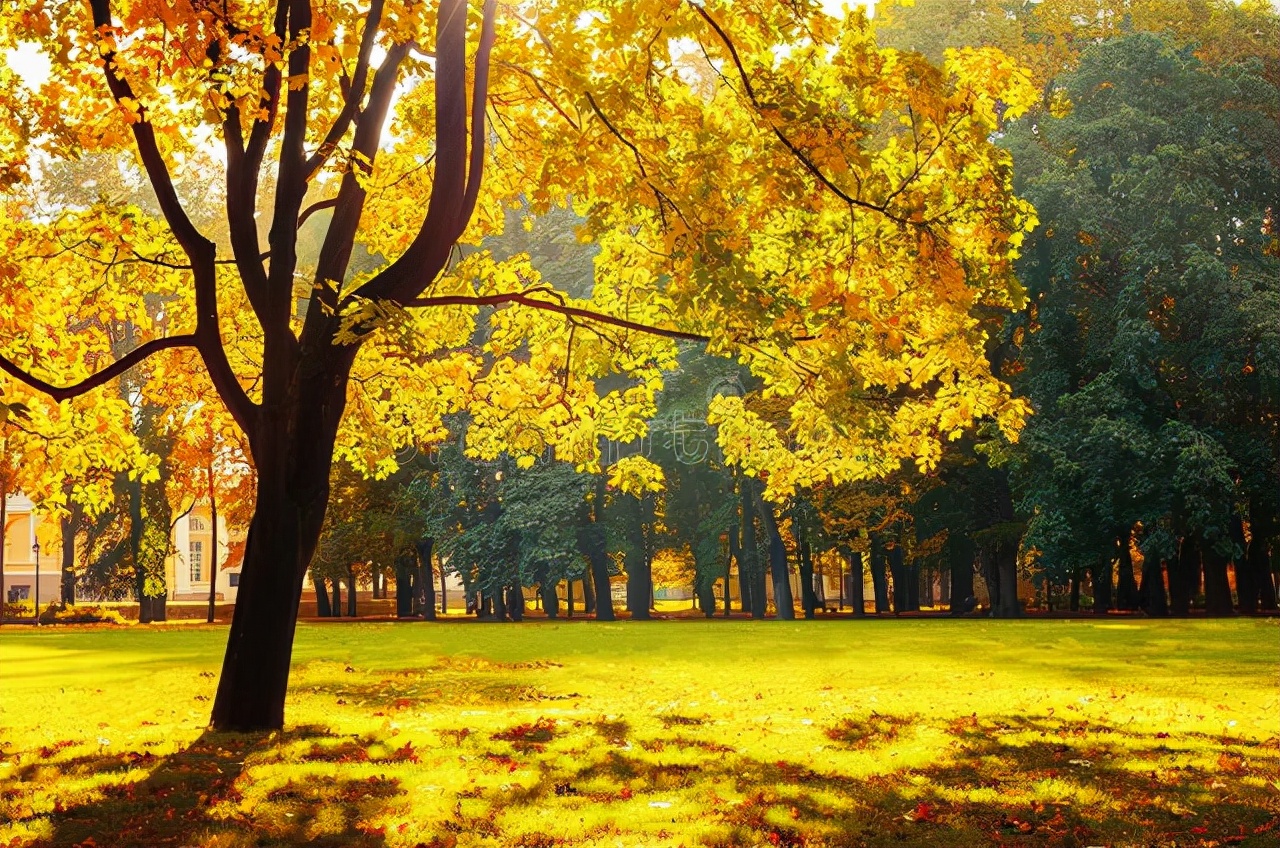 这9种绿色的蔬菜要多吃,入秋后不可错过的三道菜