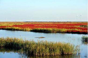 东营与滨州的发展,山东东营好还是滨州好