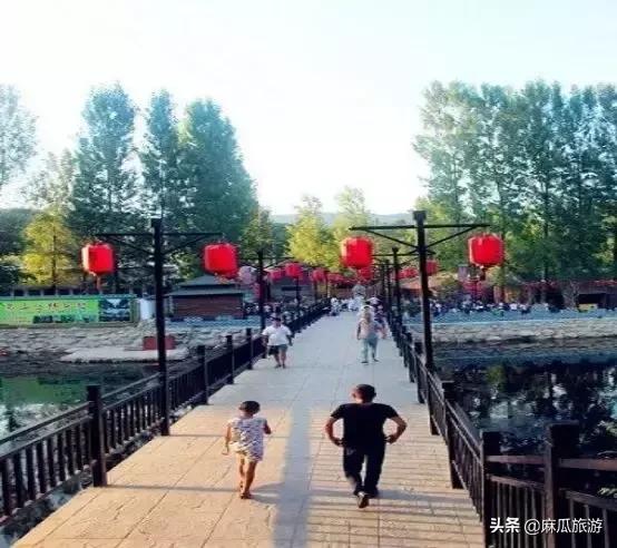 「县长带你去旅游」“古惑仔”引发首个“蛊惑灾”