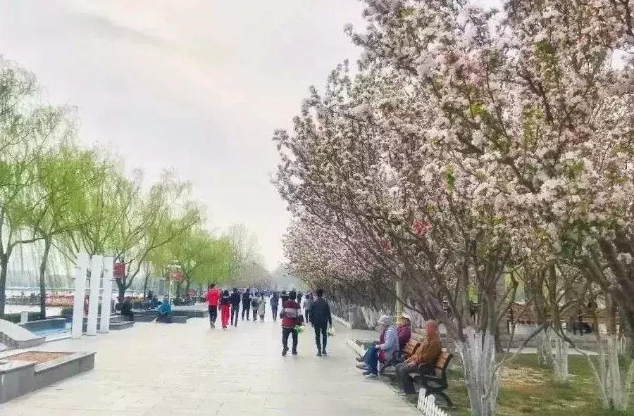 天津南开初中有春游吗,南开实验学校春游