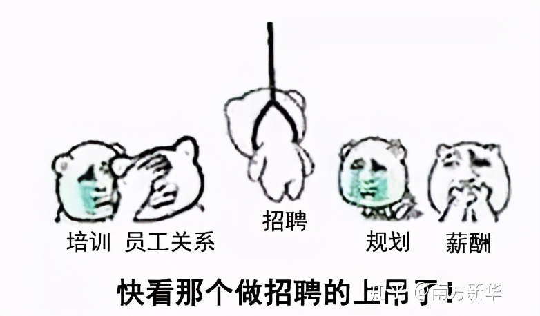 聊行业聊公司,聊行业