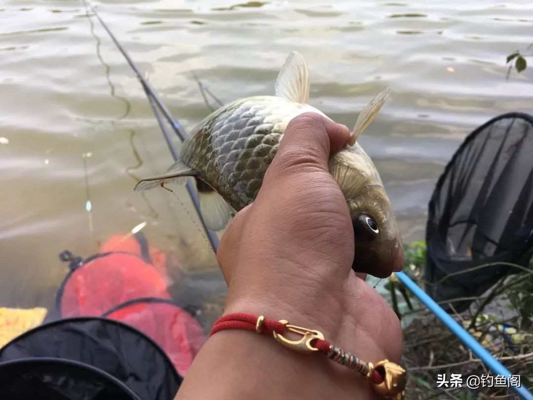 一年中钓鱼最佳时间段,钓鱼最佳时机和时间