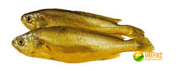 舟山海鲜攻略2天1晚住宿自由行,舟山最好的海鲜