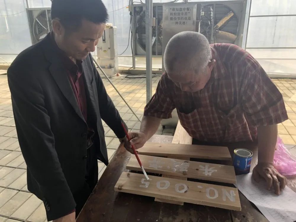 开心农场希月生态庄园,开心农场欢迎你的到来