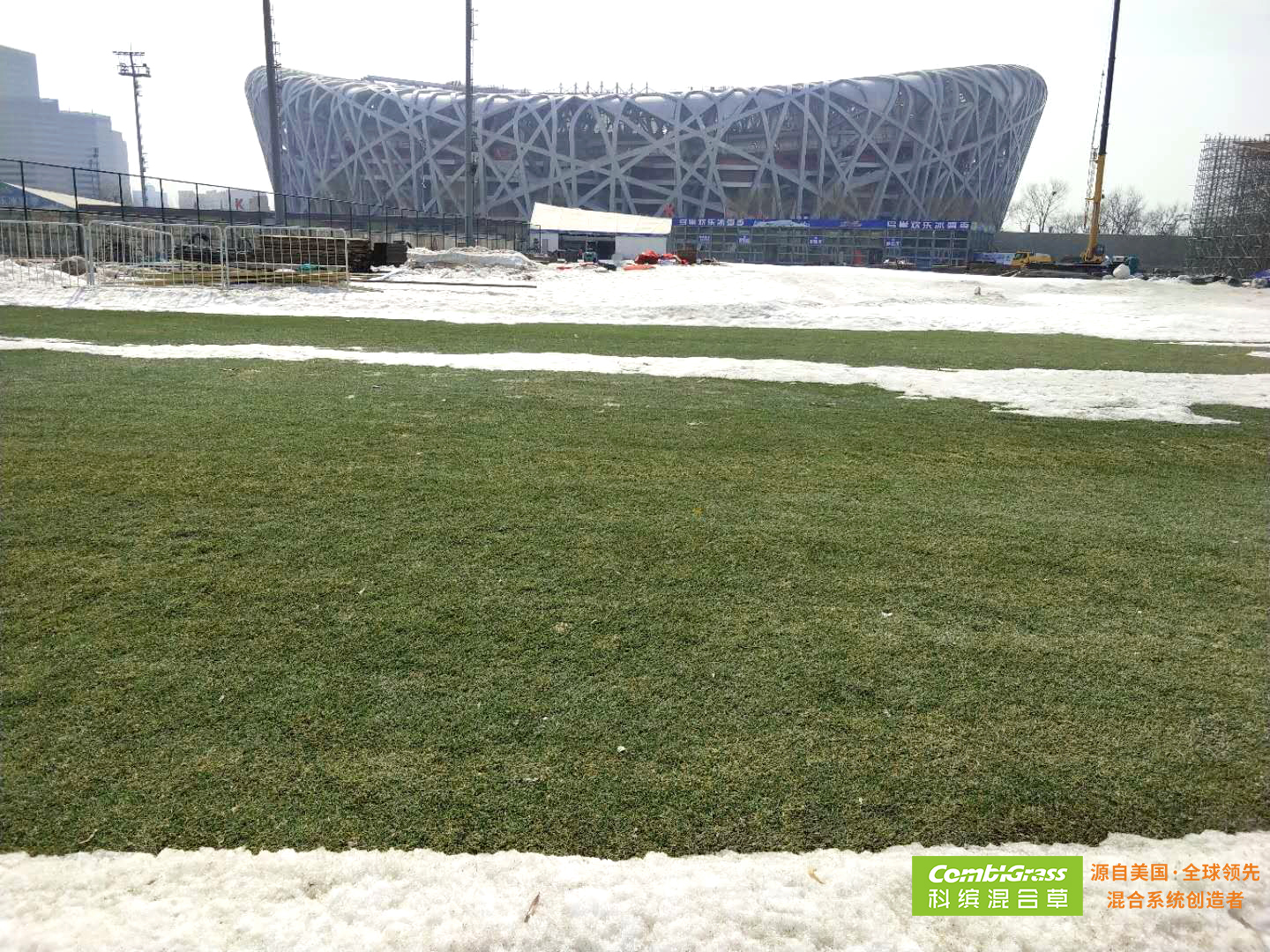 冰雪覆盖建筑物,冰雪覆盖效果