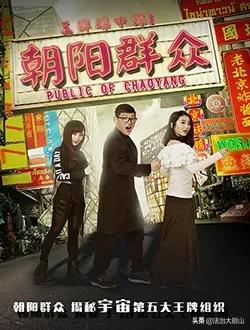 朝阳群众抓间谍,北京朝阳群众抓间谍