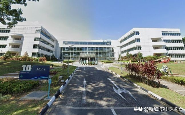 1人传染18人？新加坡35个患者带病上班，最新确诊50人行踪大曝光