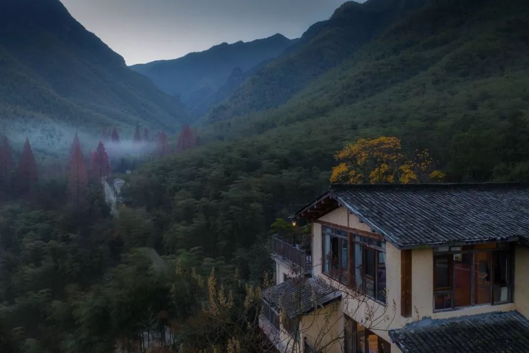 最美的民宿隐藏在森林云海,观光玻璃栈道民宿