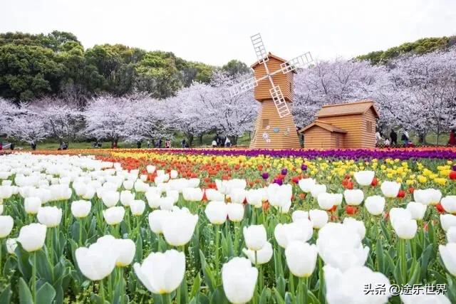 苏州周边自驾游最佳景点,苏州火车站周边景点一日游