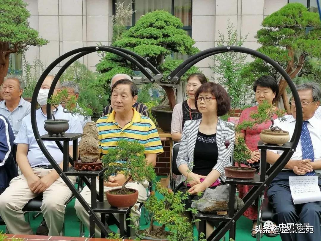 涓浗钁楀悕鐩嗘櫙澶у笀绮惧搧鐩嗘櫙,鐩嗘櫙鑹烘湳瀹跺拰鐩嗘櫙鑹烘湳澶у笀