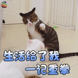 比余额宝收益高的基金,余额宝小额投资理财