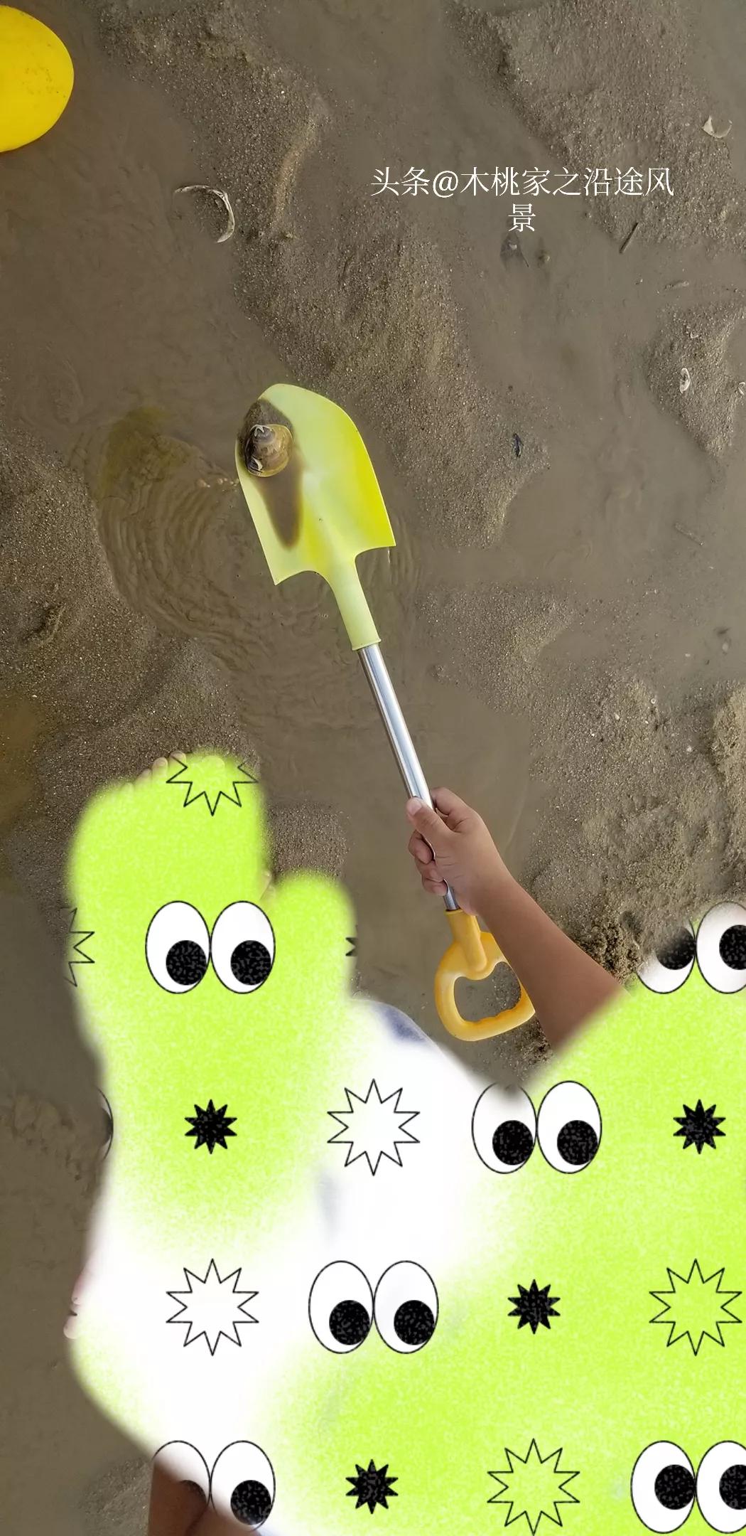 东平赶海沙滩,东平赶海最佳地方