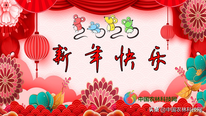 太白县鹦鸽镇药王谷,太白鹦鸽镇药王谷