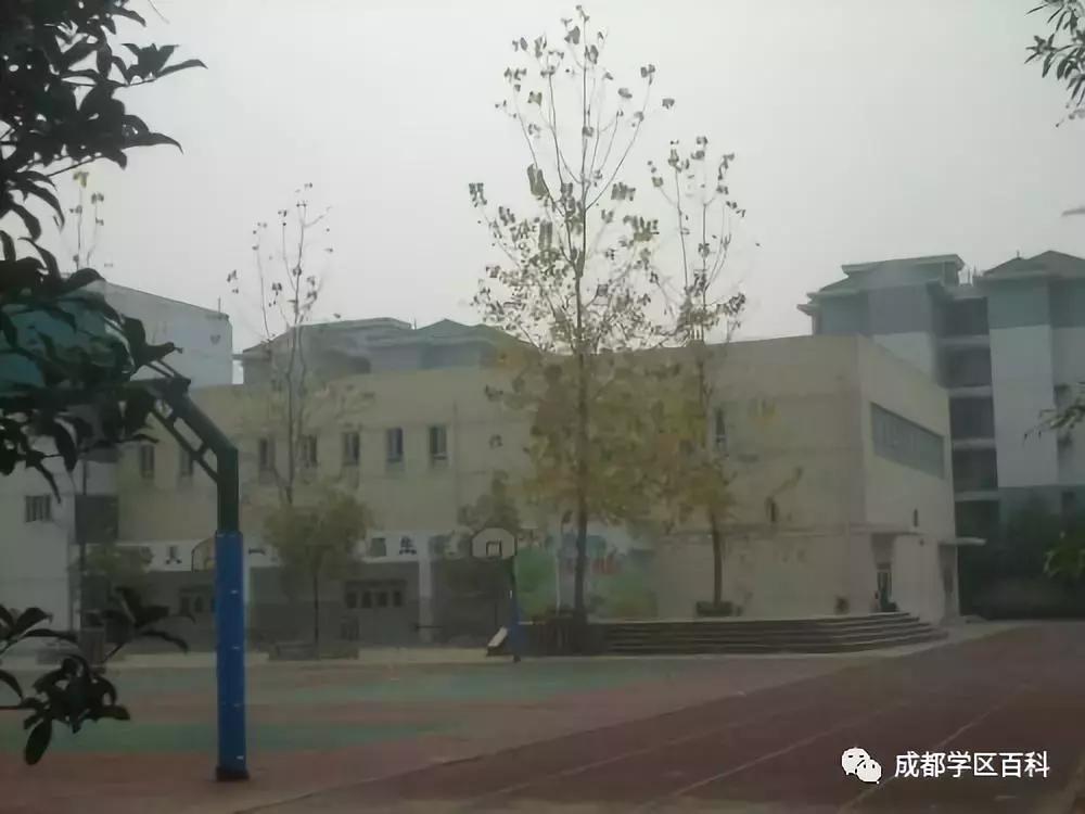 成都锦江四区学区分析,成都学区百科40强
