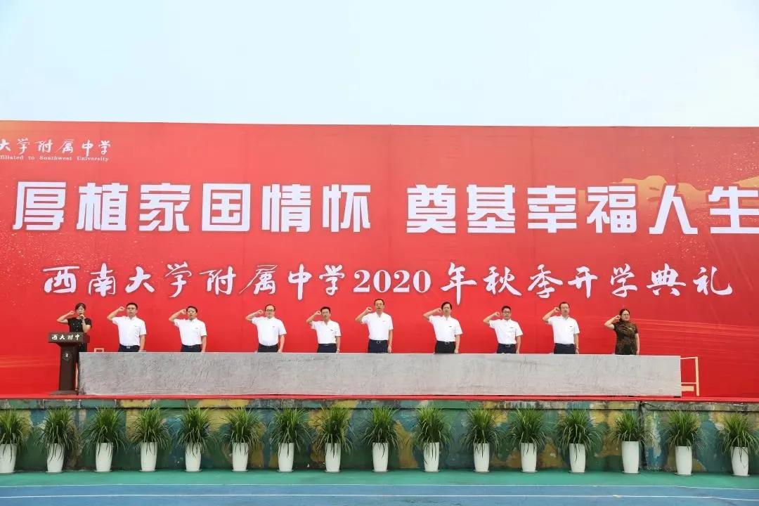 七龙珠各分校情况,七龙珠各部解读