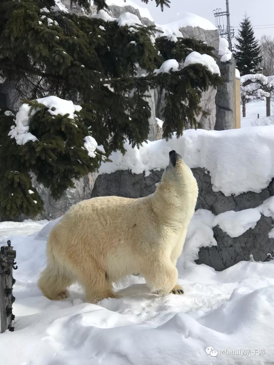 被疫情憋疯小朋友,被疫情憋疯的孩子们