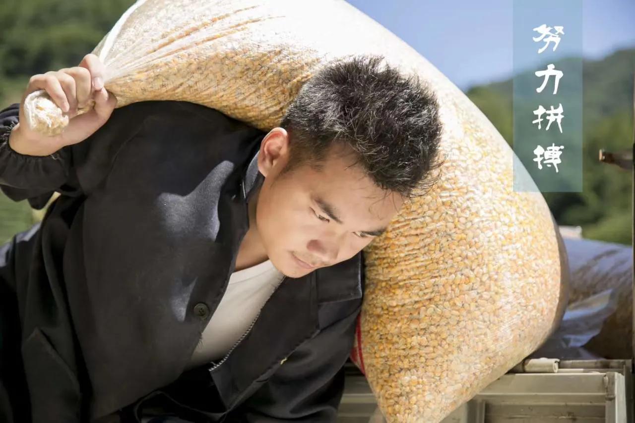 农村小伙的服装设计,农村小伙的将军梦