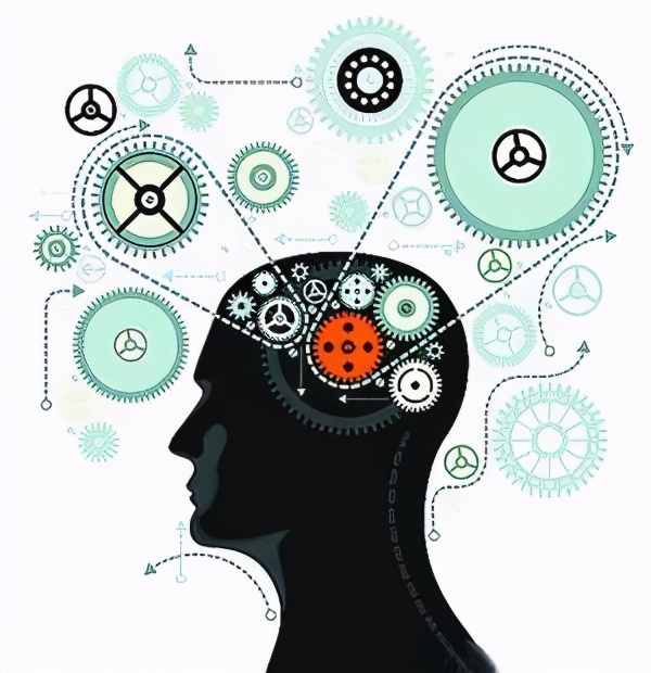 大脑是人体最脆弱的器官吗,大脑作为人体最高指挥官