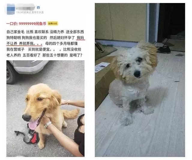 闲鱼搜索无用内容,闲鱼搜索成长的秘密