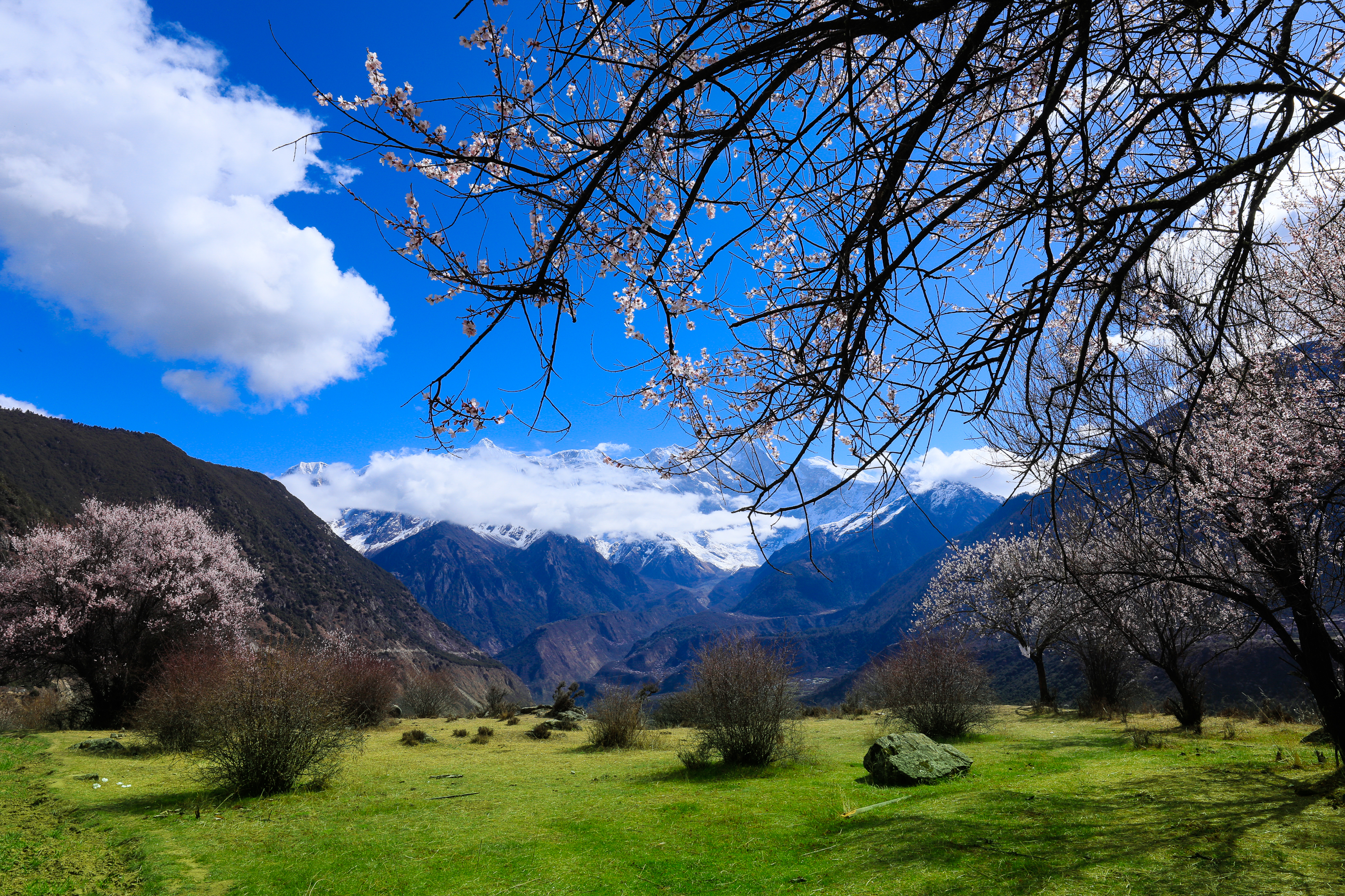 骞稿緱璇嗗嵖妗冭姳闈粠姝ら槨闄屽鏆栨槬,骞稿緱璇嗗嵖妗冭姳闈㈣嚦姝や汉闂村鏆栨槬
