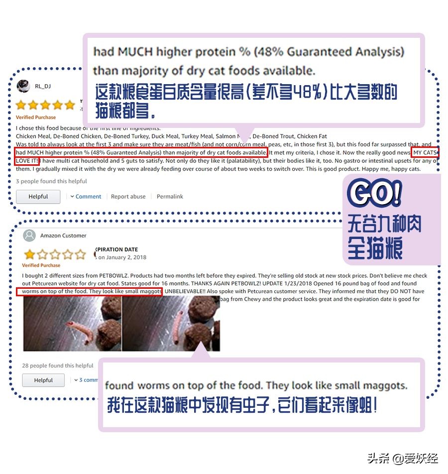 十大良心进口猫粮排名测评,进口天然猫粮