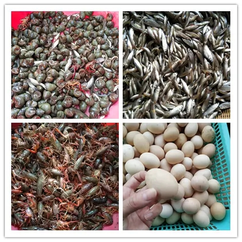 长沙周边农家乐景点推荐,长沙农家乐哪里好玩