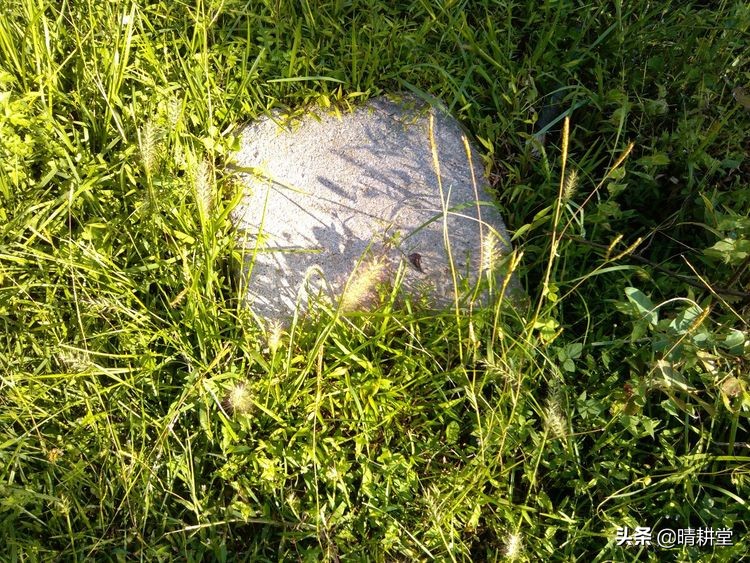 赣州峰山附近一日游自驾游景点,赣州峰山美景