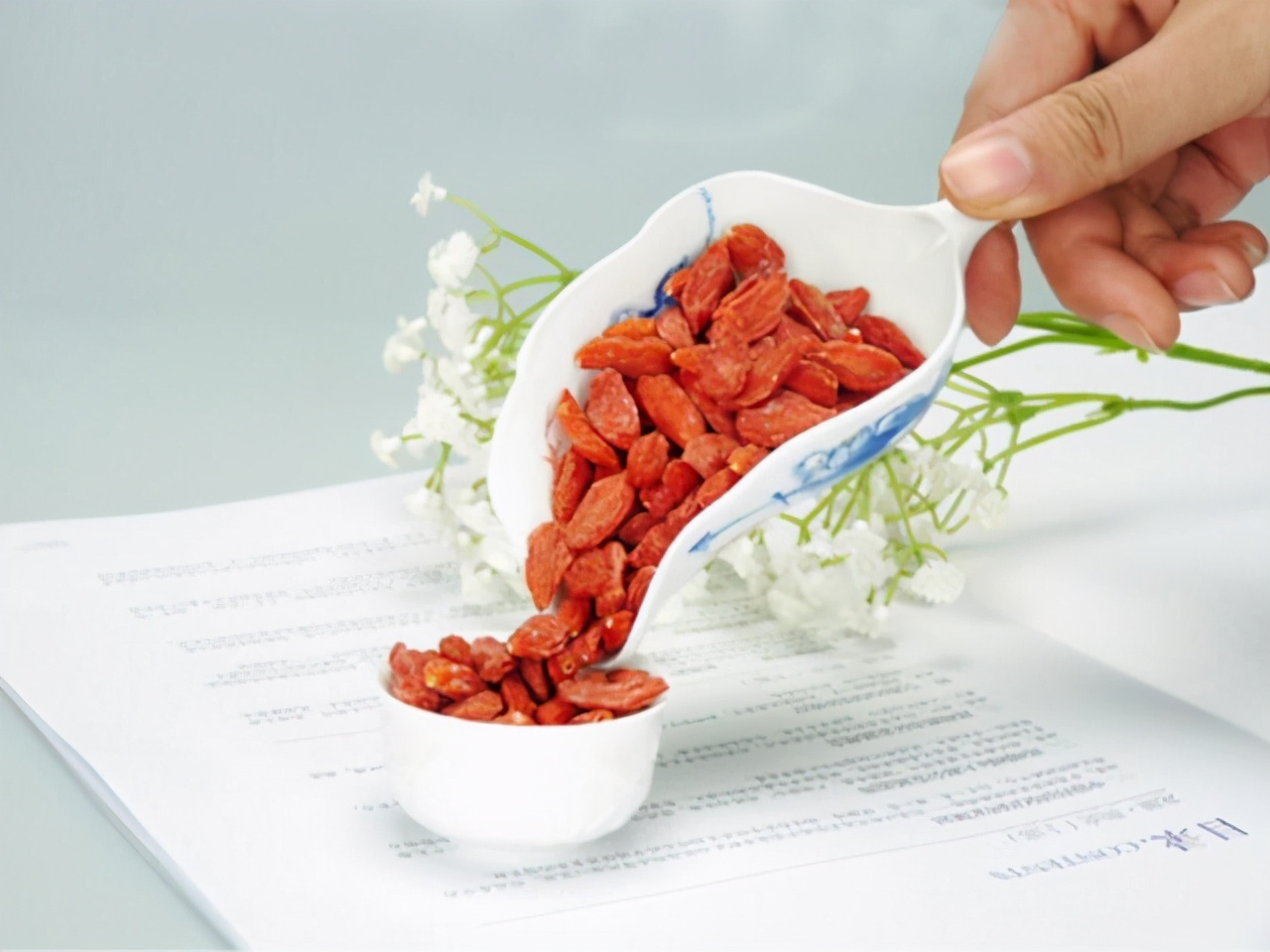 增加白细胞的食谱大全,升白细胞最快的食谱鲫鱼汤