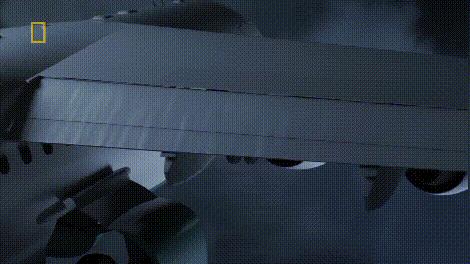 巴西沙佩科恩斯队空难,沙佩科恩斯空难幸存者重返足球