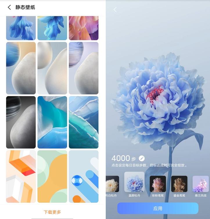 安卓系统与ios系统的稳定性对比,怎样能让安卓系统变得比苹果还快