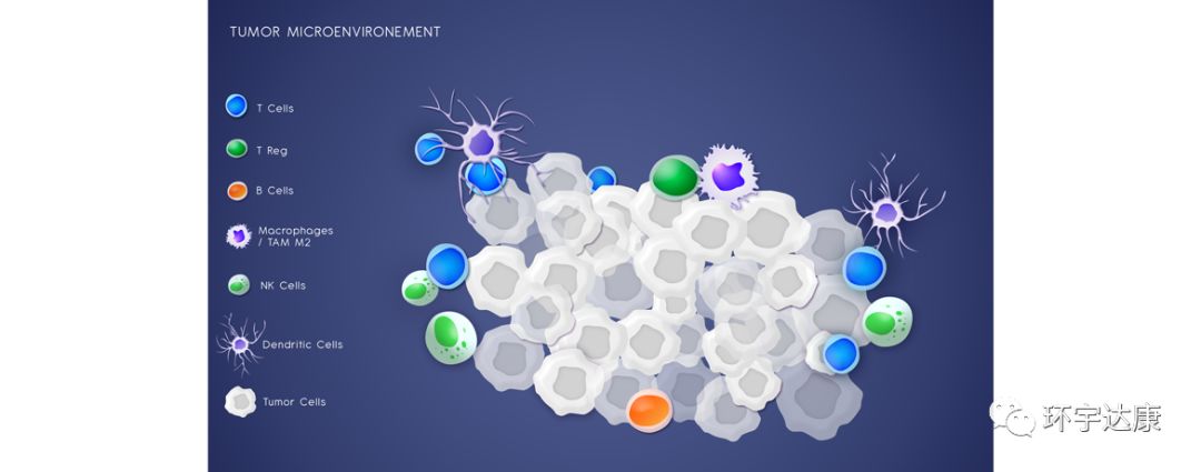 世界上完全可以预防的癌症疫苗,未来10年癌症有可能被攻克吗