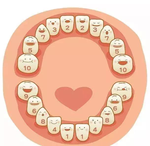 小孩少一颗牙最好的补救方法,孩子的牙有问题趁早看